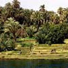 Sulla riva del Nilo