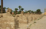 Viale dei Sfingi tra Luxor e Karnak
